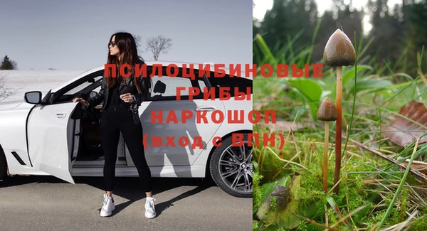 дмт Бородино