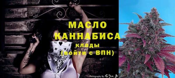 дмт Бородино