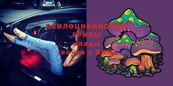 дмт Бородино