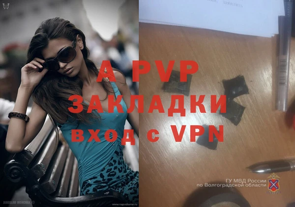 таблы Верея